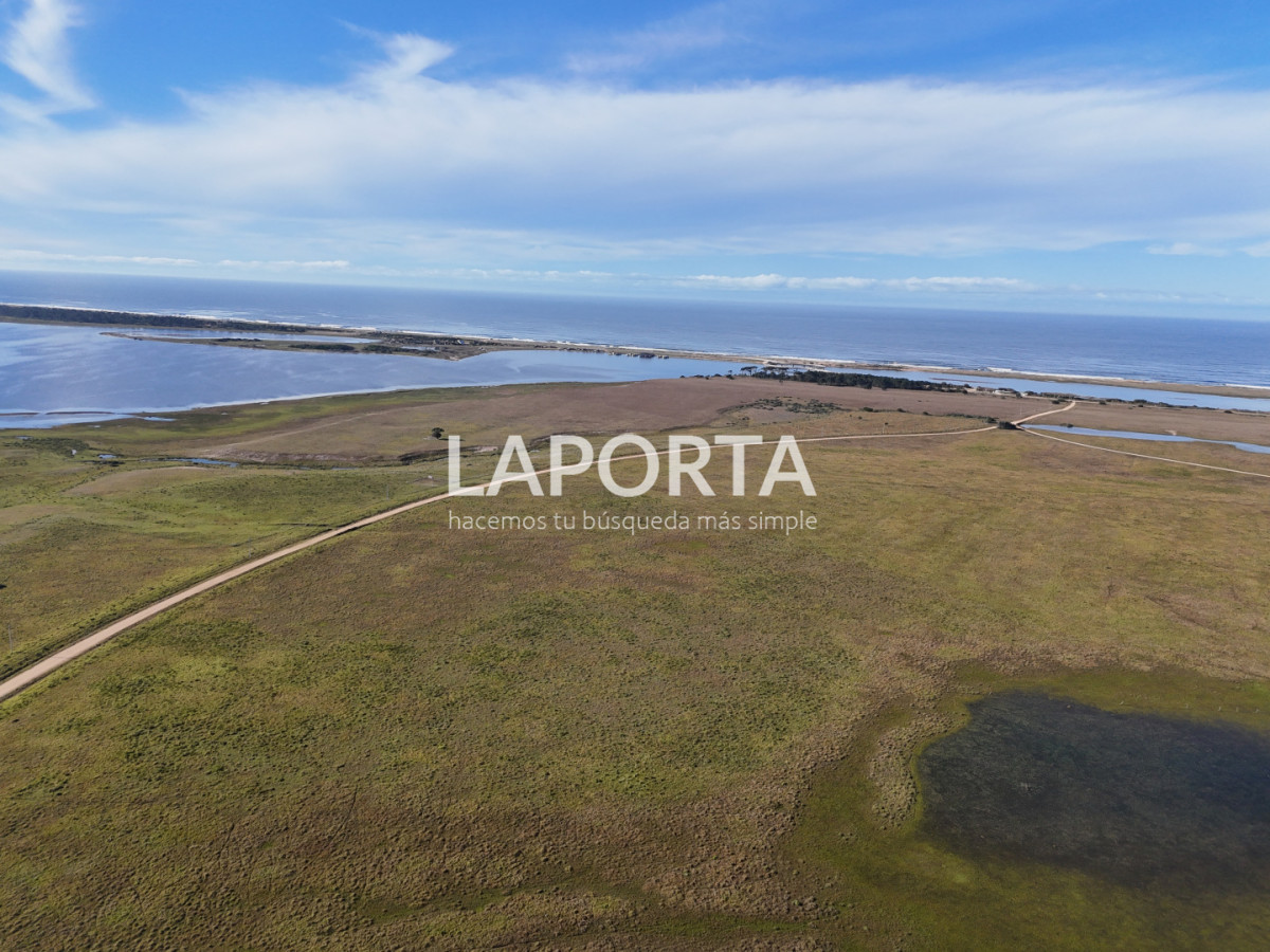 Chacra ID.1652/Chacra-en-venta-en-José-Ignacio-PUnta-del-Este - Chacra en venta en José Ignacio PUnta del Este