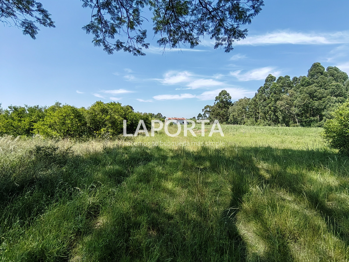 Chacra ID.490/Chacra-en-Venta-en-Salto - Chacra en Venta en Salto