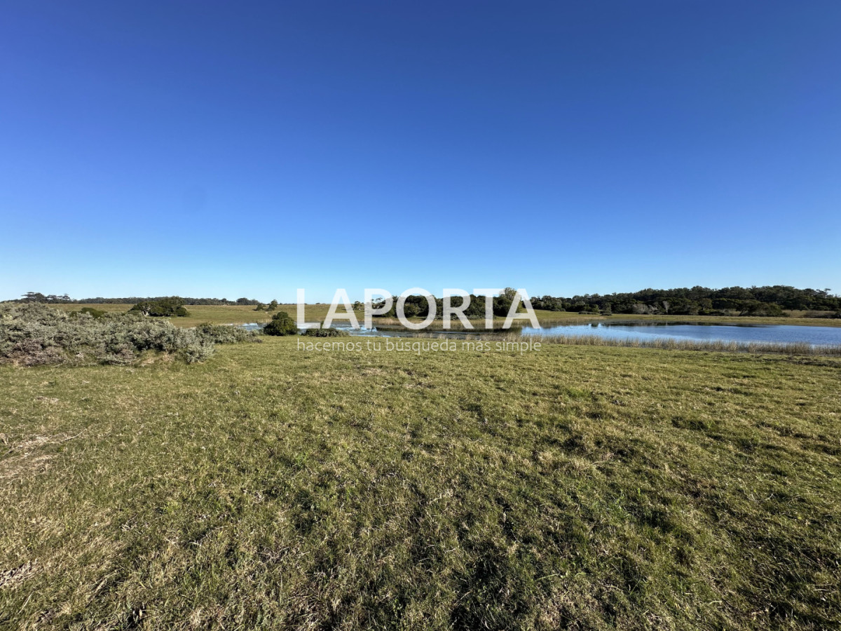 Chacra ID.1652/Chacra-en-venta-en-José-Ignacio-PUnta-del-Este - Chacra en venta en José Ignacio PUnta del Este