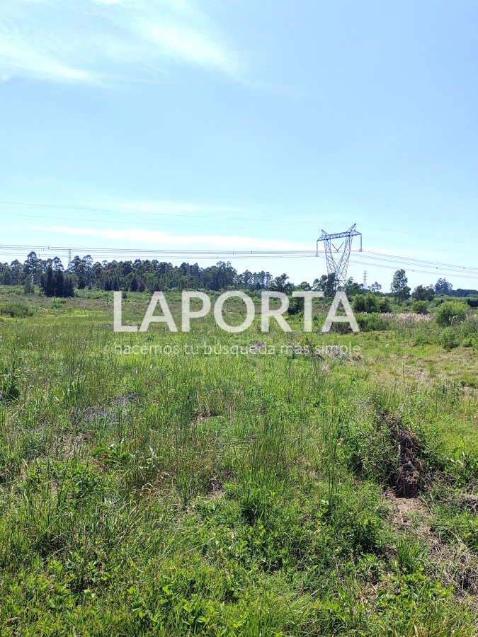 Chacra ID.490/Chacra-en-Venta-en-Salto - Chacra en Venta en Salto