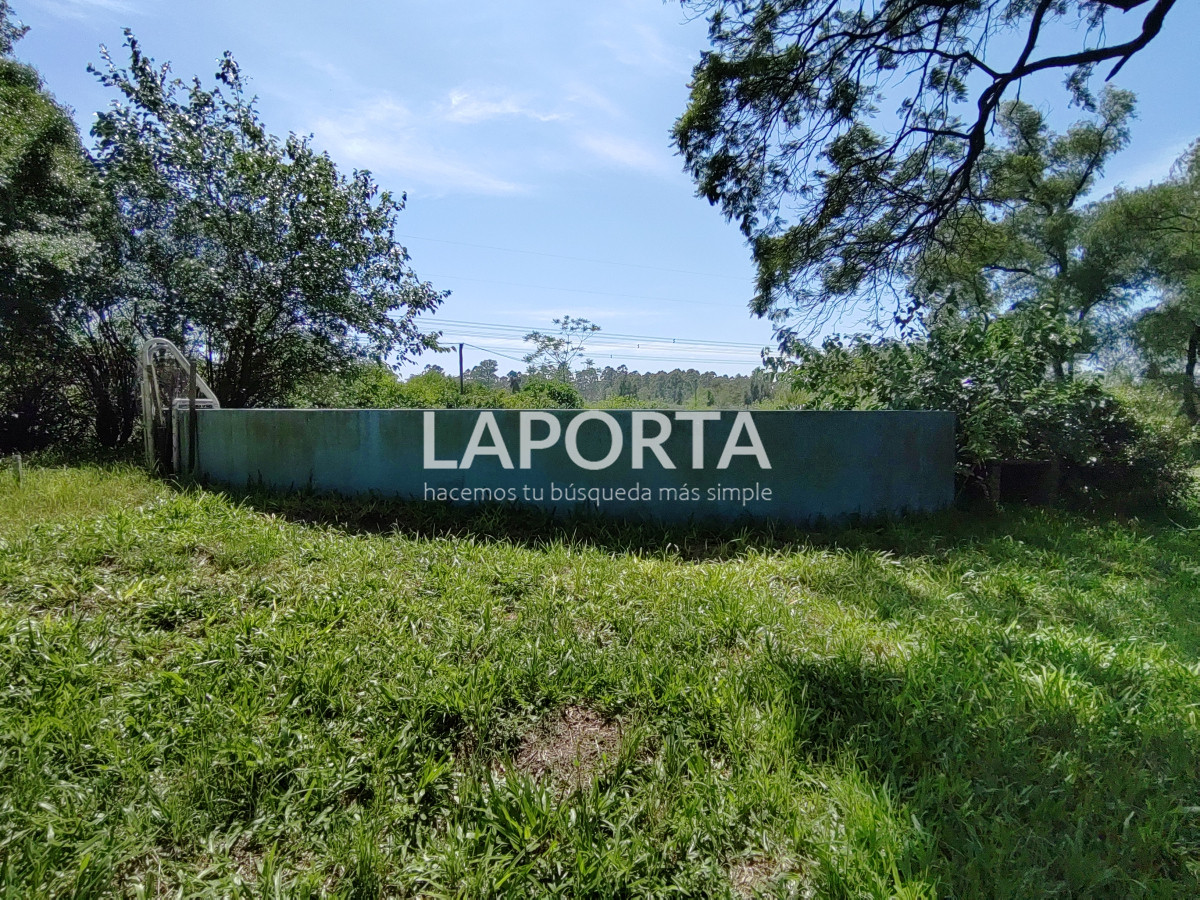 Chacra ID.490/Chacra-en-Venta-en-Salto - Chacra en Venta en Salto