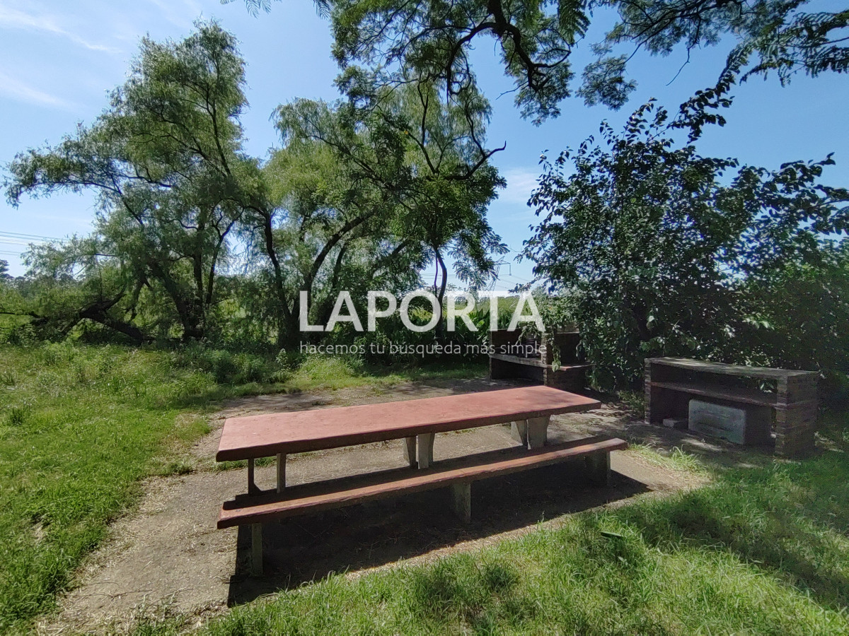 Chacra ID.490/Chacra-en-Venta-en-Salto - Chacra en Venta en Salto