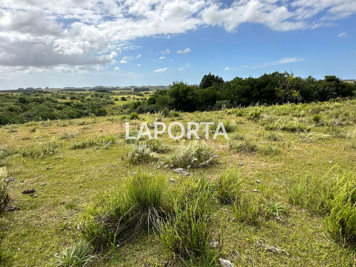 Chacra ID.127 - Chacra en venta en Punta del Este; Pueblo Garzón