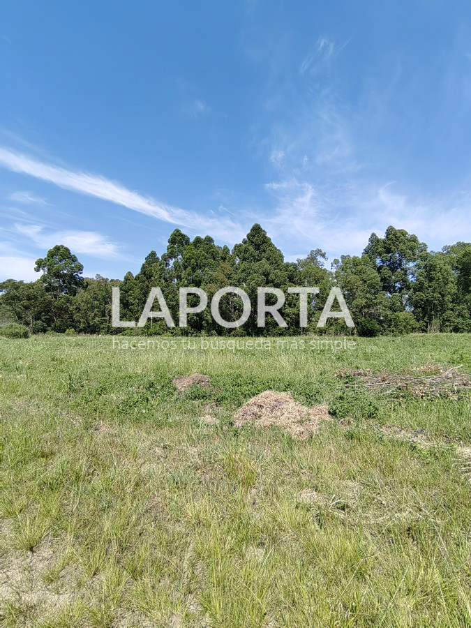 Chacra ID.490/Chacra-en-Venta-en-Salto - Chacra en Venta en Salto