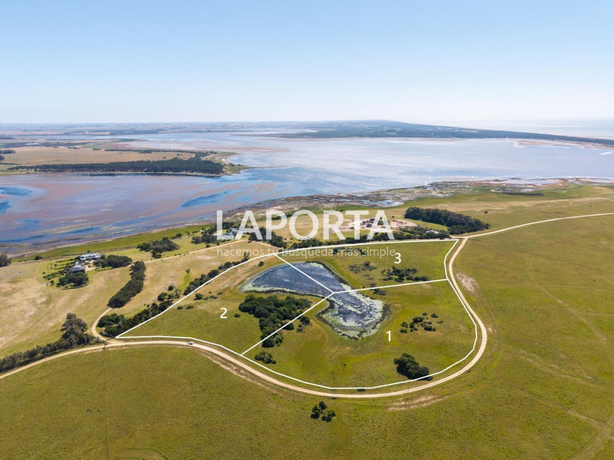 Chacra ID.1652/Chacra-en-venta-en-José-Ignacio-PUnta-del-Este - Chacra en venta en José Ignacio PUnta del Este