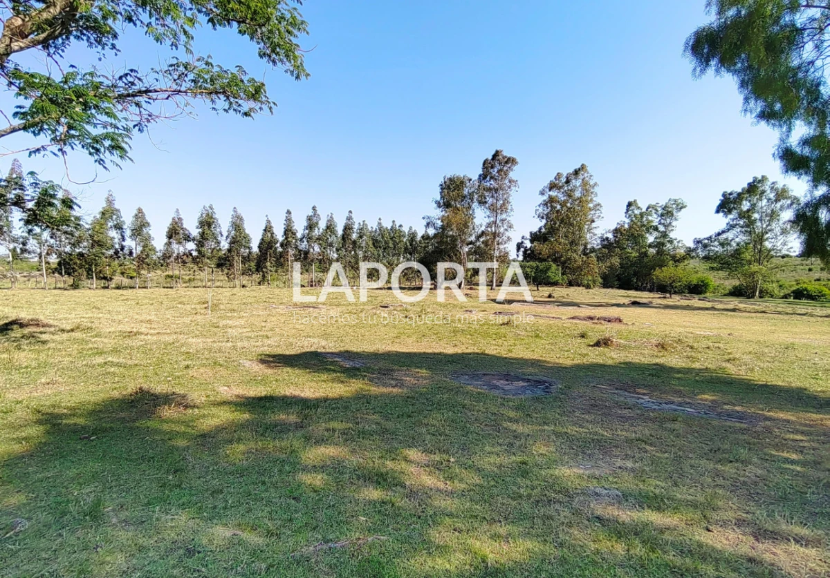 Chacra ID.1319/Chacra-en-venta-próxima-al-Hipódromo,-Salto. - Chacra en venta próxima al Hipódromo, Salto.