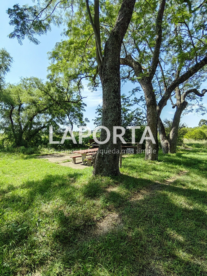 Chacra ID.490/Chacra-en-Venta-en-Salto - Chacra en Venta en Salto