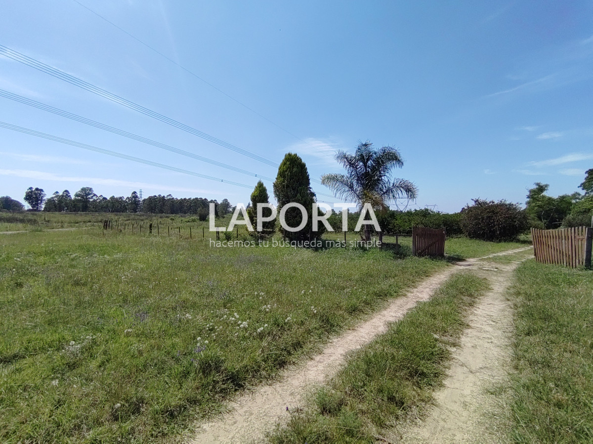 Chacra ID.490/Chacra-en-Venta-en-Salto - Chacra en Venta en Salto