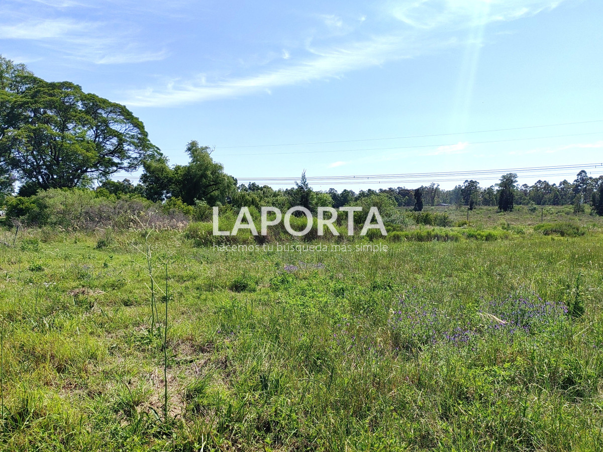 Chacra ID.490/Chacra-en-Venta-en-Salto - Chacra en Venta en Salto