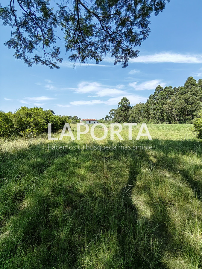 Chacra ID.490/Chacra-en-Venta-en-Salto - Chacra en Venta en Salto