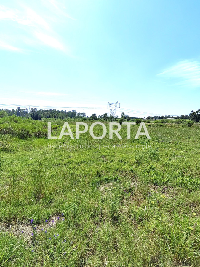 Chacra ID.490/Chacra-en-Venta-en-Salto - Chacra en Venta en Salto