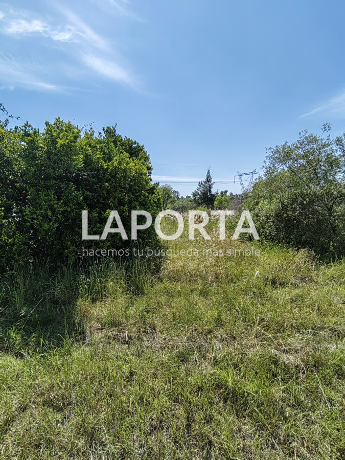 Chacra ID.490/Chacra-en-Venta-en-Salto - Chacra en Venta en Salto