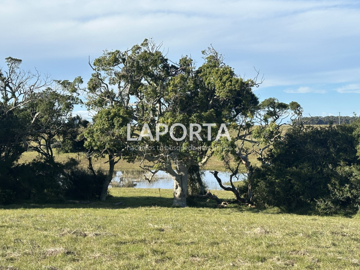 Chacra ID.1652/Chacra-en-venta-en-José-Ignacio-PUnta-del-Este - Chacra en venta en José Ignacio PUnta del Este