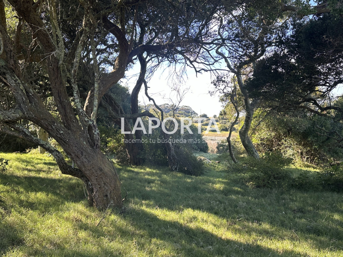 Chacra ID.1652/Chacra-en-venta-en-José-Ignacio-PUnta-del-Este - Chacra en venta en José Ignacio PUnta del Este