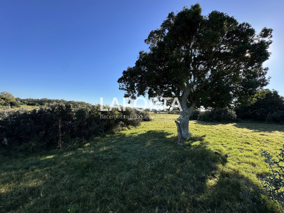 Chacra ID.1652/Chacra-en-venta-en-José-Ignacio-PUnta-del-Este - Chacra en venta en José Ignacio PUnta del Este