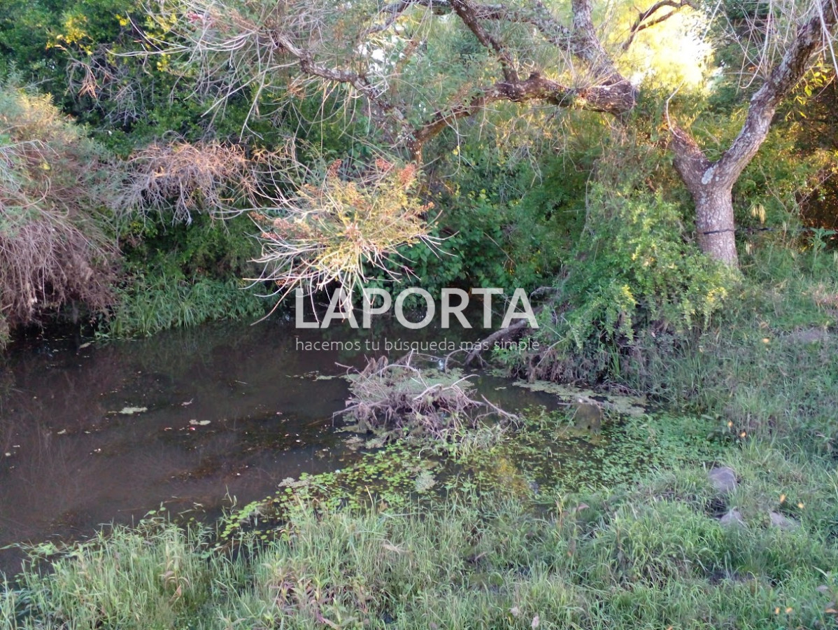 Chacra ID.1018/Venta-de-Chacra-en-Punta-del-Este-Sierras-de-Garzón - Venta de Chacra en Punta del Este Sierras de Garzón