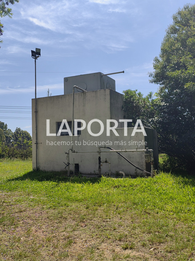 Chacra ID.490/Chacra-en-Venta-en-Salto - Chacra en Venta en Salto