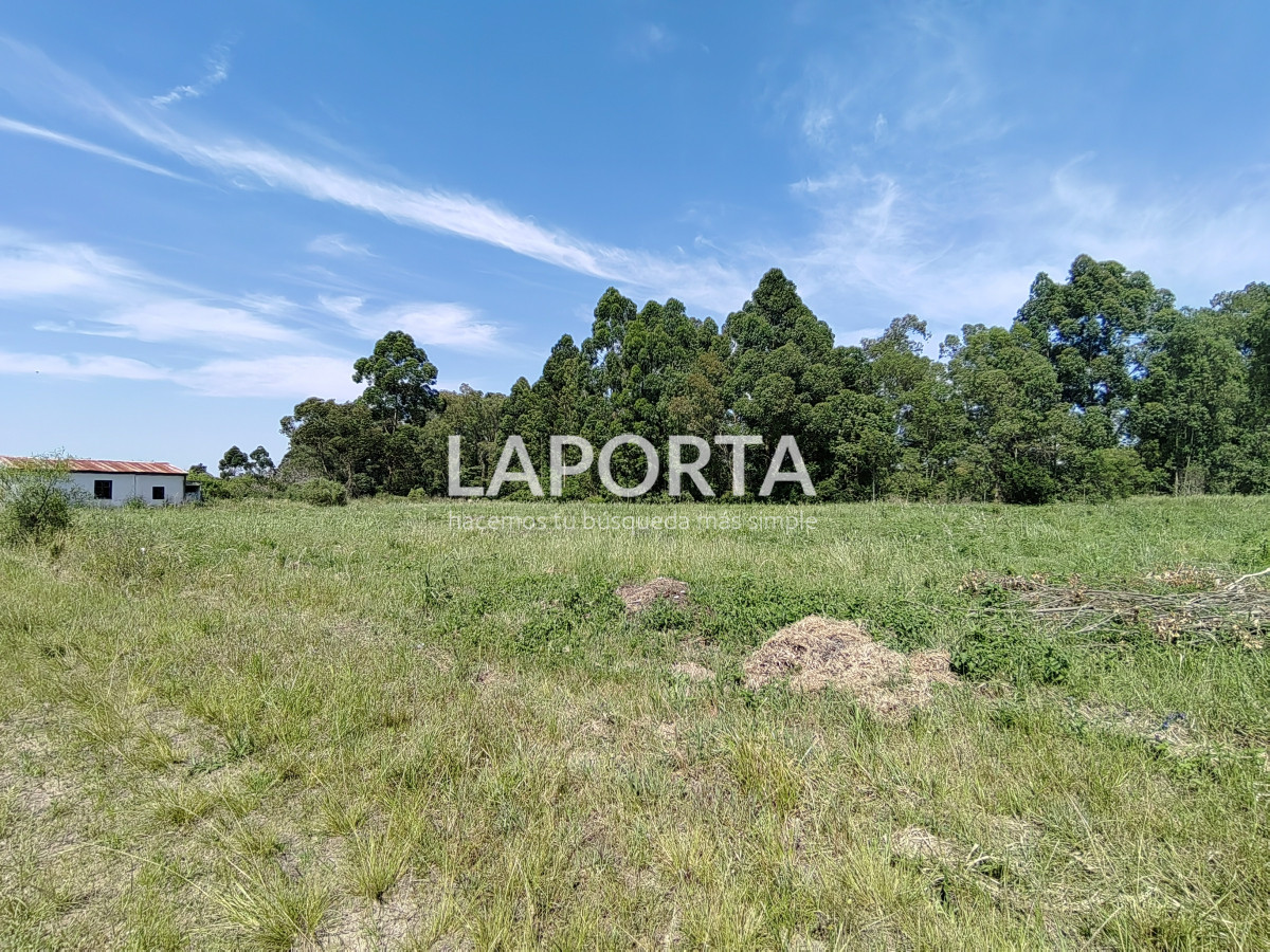 Chacra ID.490/Chacra-en-Venta-en-Salto - Chacra en Venta en Salto