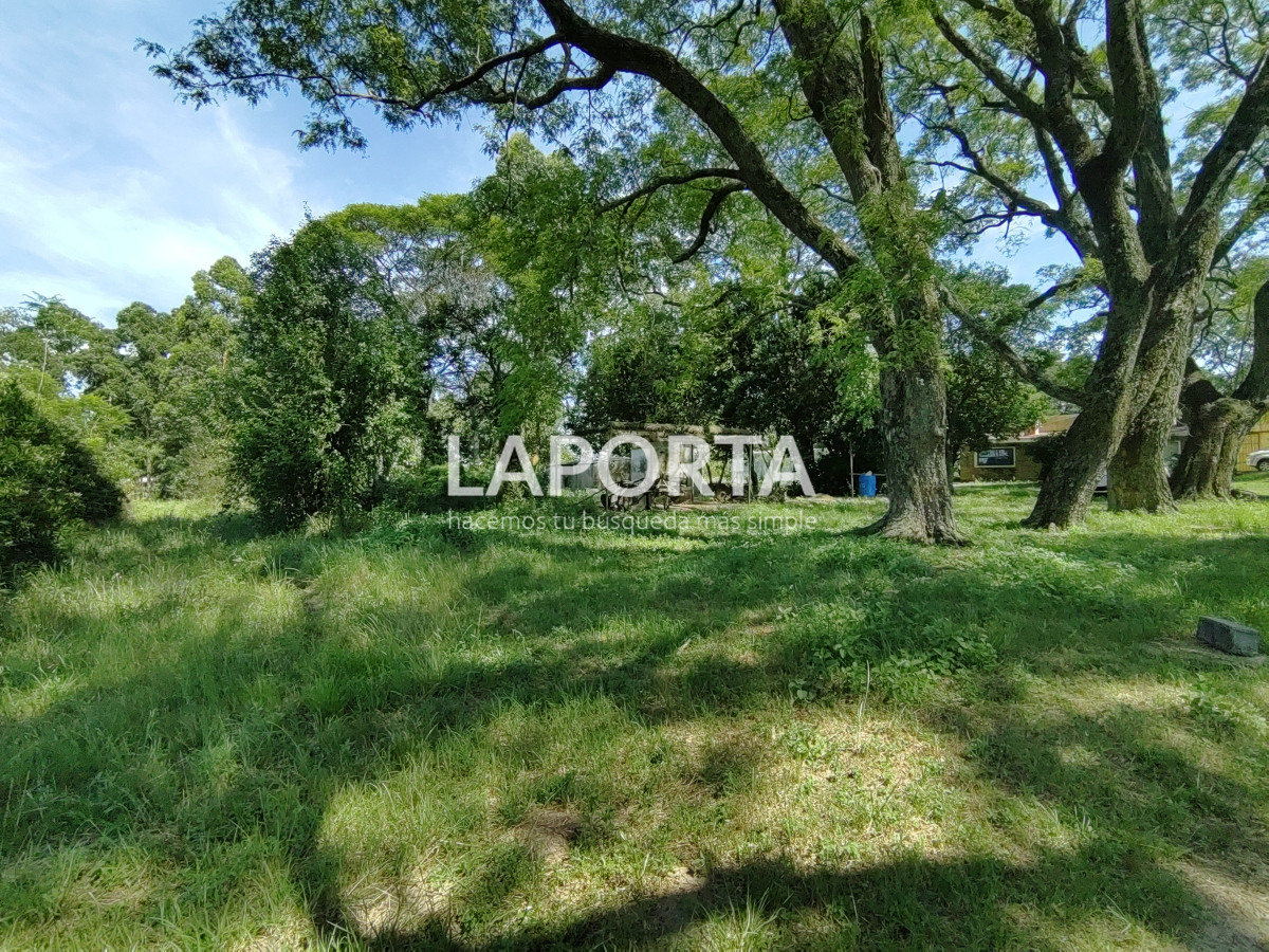 Chacra ID.490/Chacra-en-Venta-en-Salto - Chacra en Venta en Salto