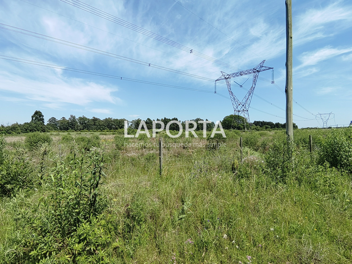 Chacra ID.490/Chacra-en-Venta-en-Salto - Chacra en Venta en Salto