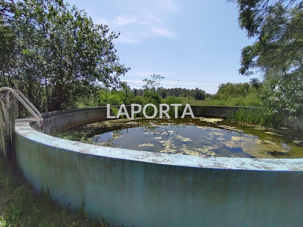 Chacra ID.490/Chacra-en-Venta-en-Salto - Chacra en Venta en Salto