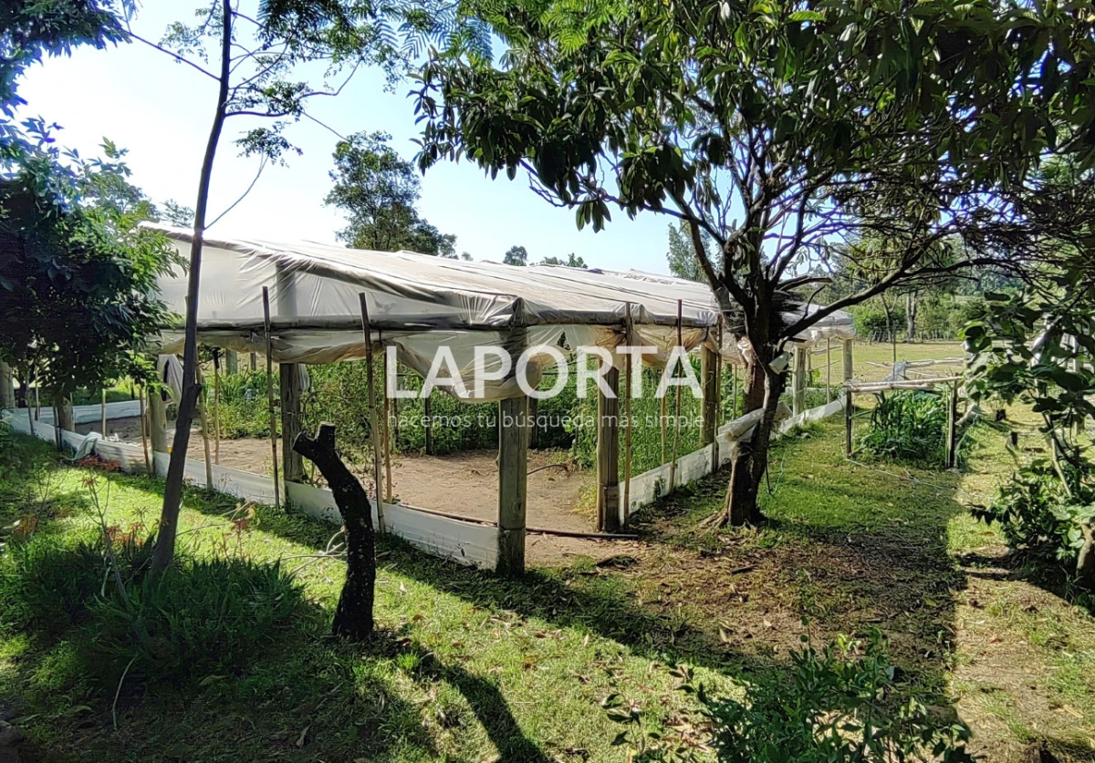 Chacra ID.1319/Chacra-en-venta-próxima-al-Hipódromo,-Salto. - Chacra en venta próxima al Hipódromo, Salto.