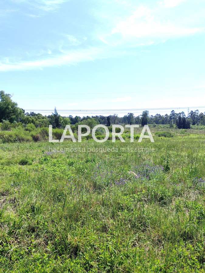 Chacra ID.490/Chacra-en-Venta-en-Salto - Chacra en Venta en Salto