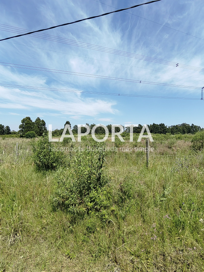 Chacra ID.490/Chacra-en-Venta-en-Salto - Chacra en Venta en Salto