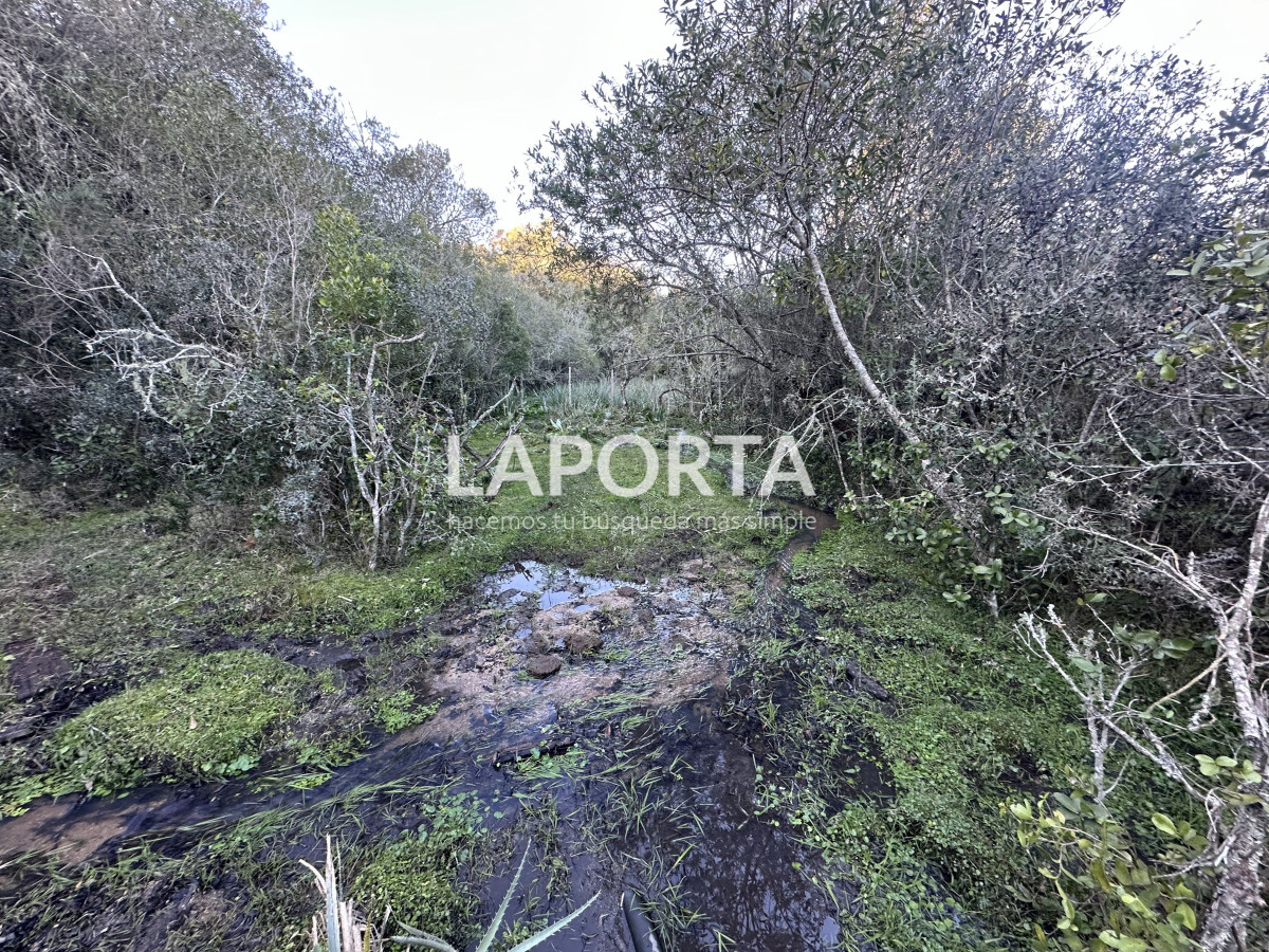 Chacra ID.1018/Venta-de-Chacra-en-Punta-del-Este-Sierras-de-Garzón - Venta de Chacra en Punta del Este Sierras de Garzón