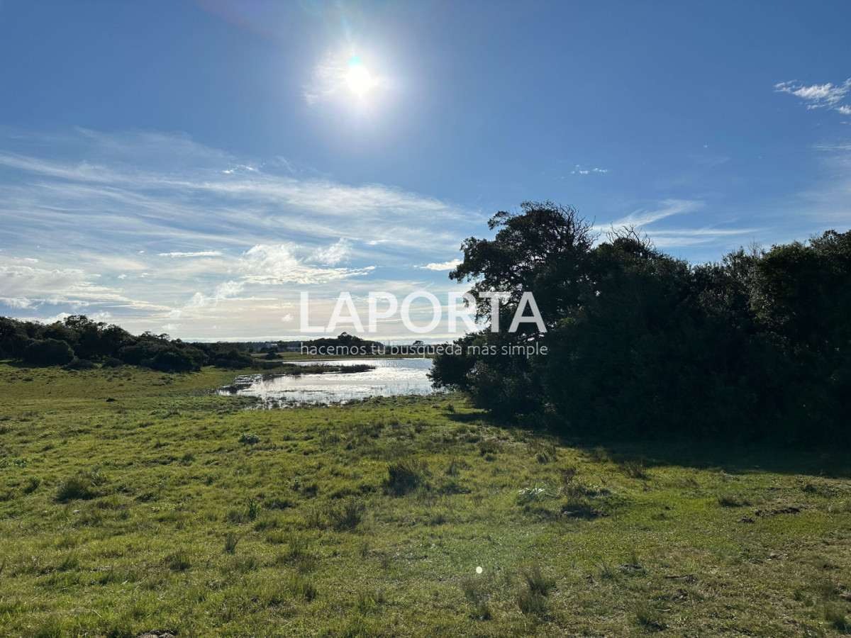 Chacra ID.1652/Chacra-en-venta-en-José-Ignacio-PUnta-del-Este - Chacra en venta en José Ignacio PUnta del Este