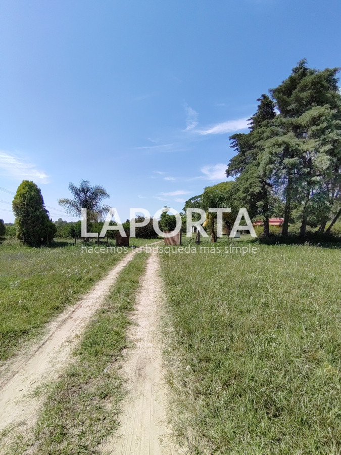 Chacra ID.490/Chacra-en-Venta-en-Salto - Chacra en Venta en Salto