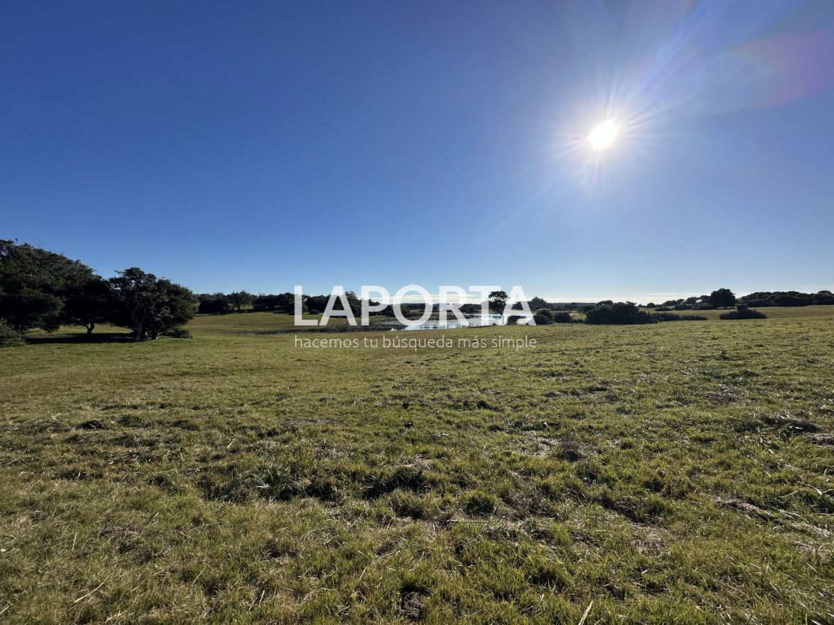 Chacra ID.1652/Chacra-en-venta-en-José-Ignacio-PUnta-del-Este - Chacra en venta en José Ignacio PUnta del Este