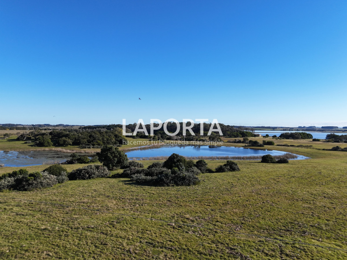 Chacra ID.1652/Chacra-en-venta-en-José-Ignacio-PUnta-del-Este - Chacra en venta en José Ignacio PUnta del Este
