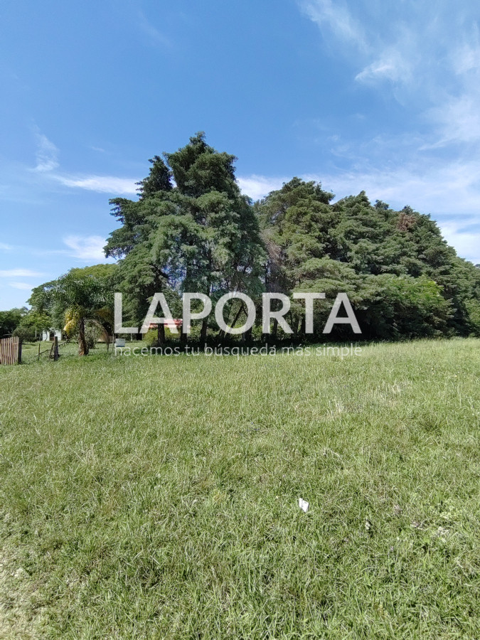 Chacra ID.490/Chacra-en-Venta-en-Salto - Chacra en Venta en Salto