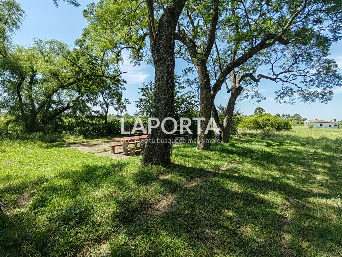 Chacra ID.490/Chacra-en-Venta-en-Salto - Chacra en Venta en Salto