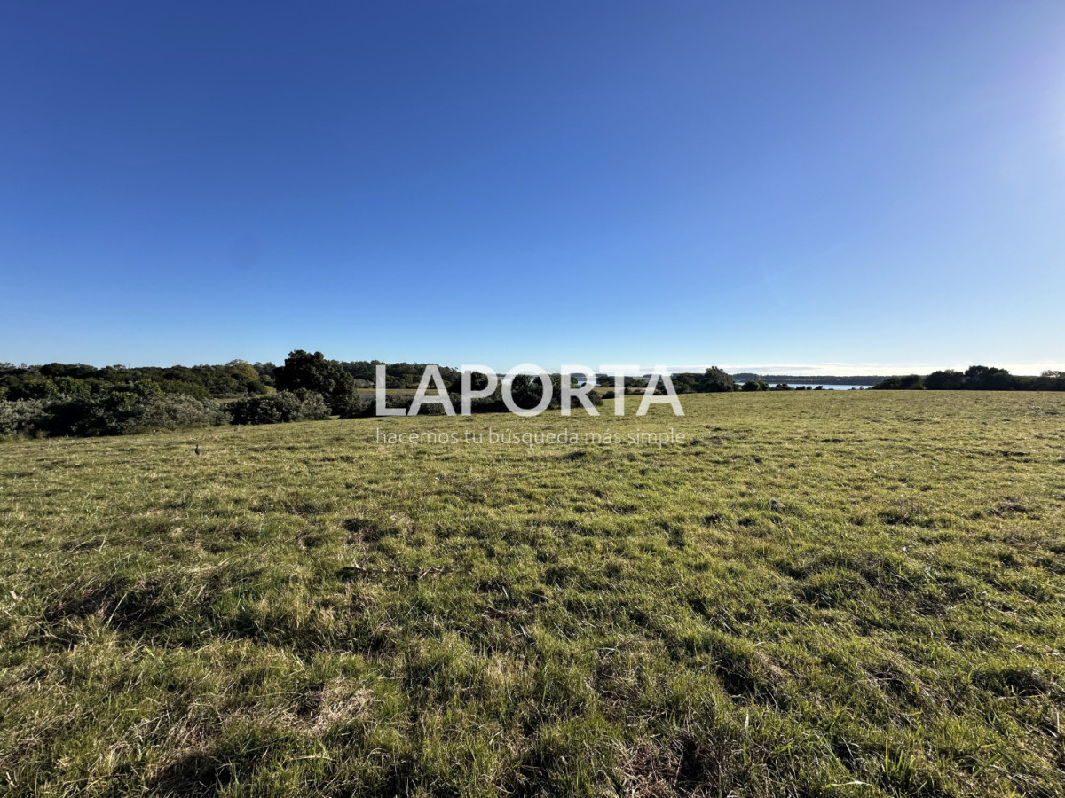 Chacra ID.1652/Chacra-en-venta-en-José-Ignacio-PUnta-del-Este - Chacra en venta en José Ignacio PUnta del Este