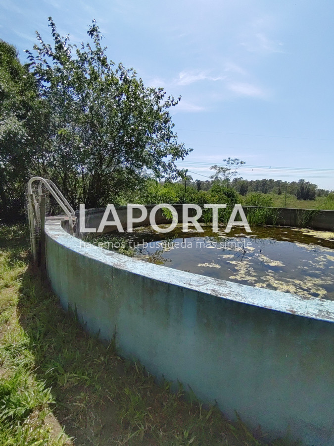 Chacra ID.490/Chacra-en-Venta-en-Salto - Chacra en Venta en Salto