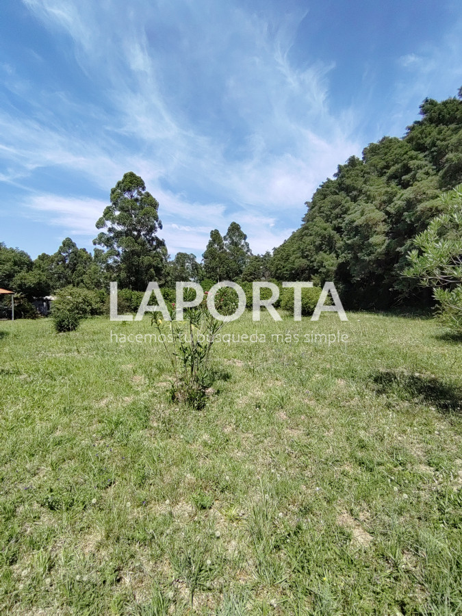 Chacra ID.490/Chacra-en-Venta-en-Salto - Chacra en Venta en Salto