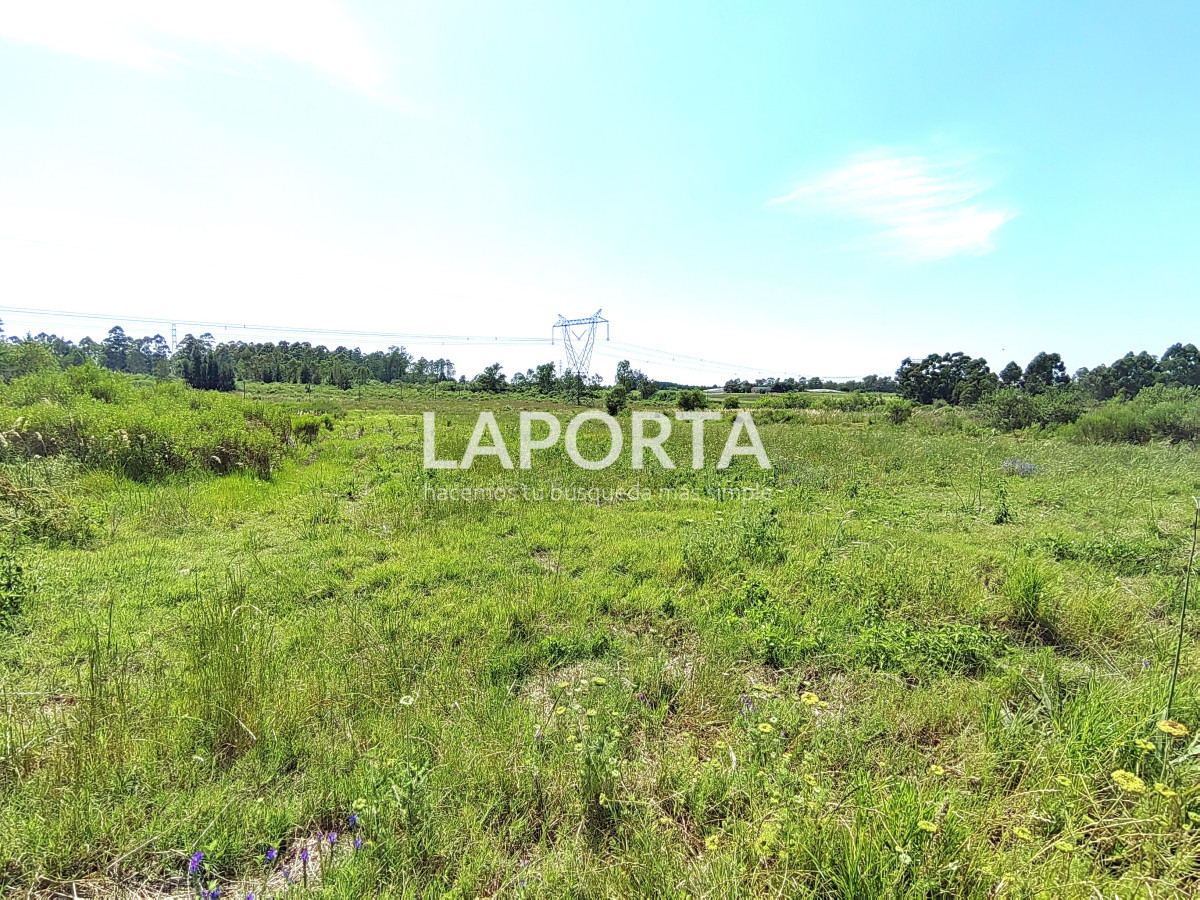 Chacra ID.490/Chacra-en-Venta-en-Salto - Chacra en Venta en Salto