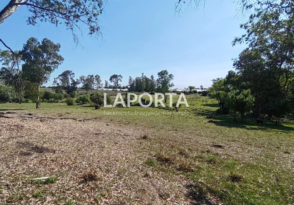 Chacra ID.1319/Chacra-en-venta-próxima-al-Hipódromo,-Salto. - Chacra en venta próxima al Hipódromo, Salto.