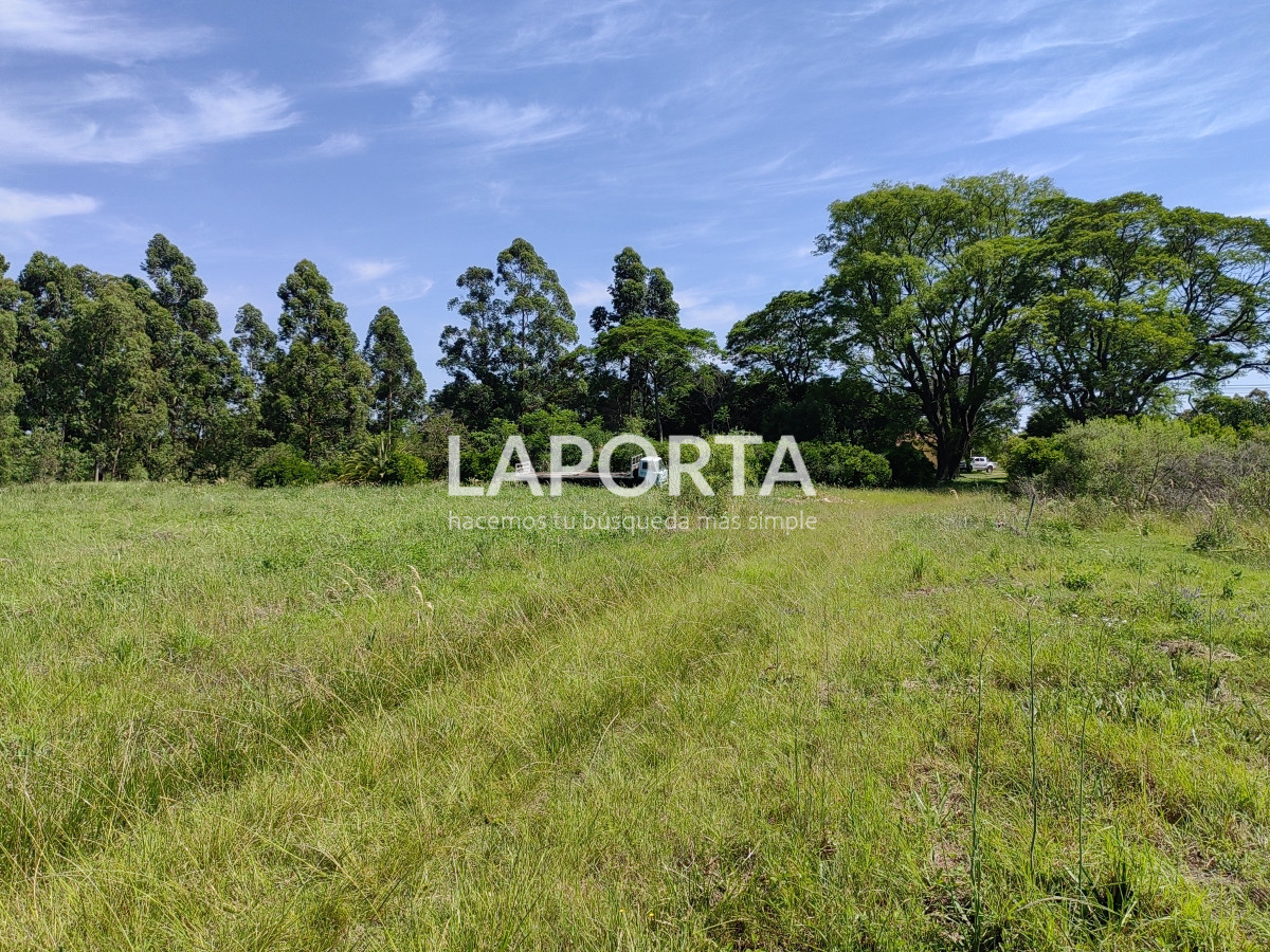 Chacra ID.490/Chacra-en-Venta-en-Salto - Chacra en Venta en Salto