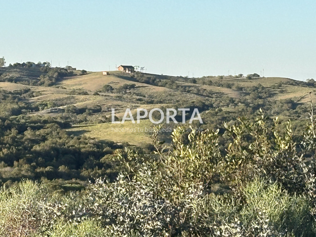 Chacra ID.1018/Venta-de-Chacra-en-Punta-del-Este-Sierras-de-Garzón - Venta de Chacra en Punta del Este Sierras de Garzón