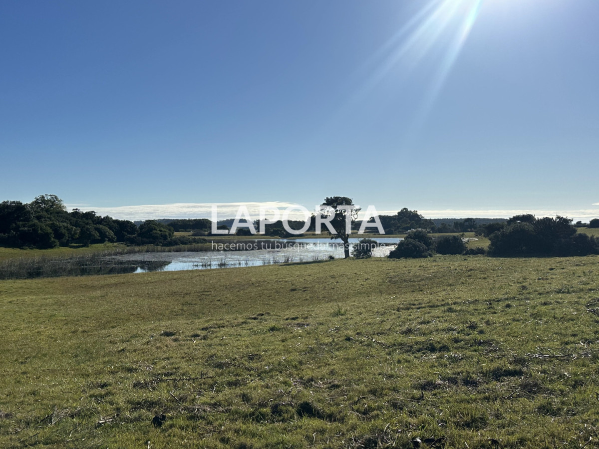 Chacra ID.1652/Chacra-en-venta-en-José-Ignacio-PUnta-del-Este - Chacra en venta en José Ignacio PUnta del Este