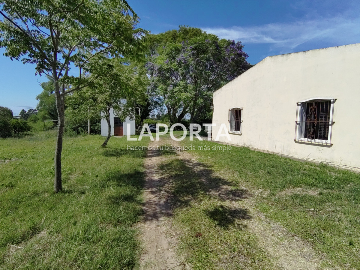 Chacra ID.490/Chacra-en-Venta-en-Salto - Chacra en Venta en Salto