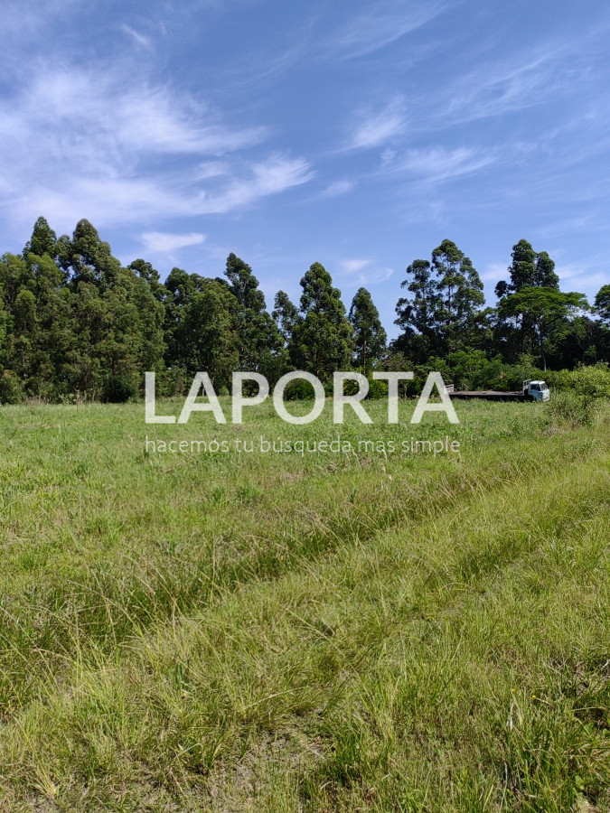 Chacra ID.490/Chacra-en-Venta-en-Salto - Chacra en Venta en Salto