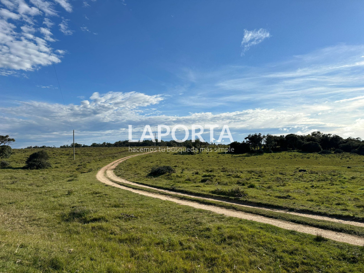 Chacra ID.1652/Chacra-en-venta-en-José-Ignacio-PUnta-del-Este - Chacra en venta en José Ignacio PUnta del Este
