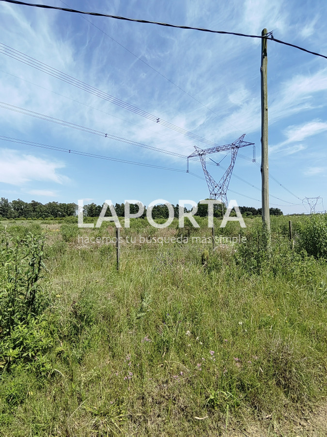 Chacra ID.490/Chacra-en-Venta-en-Salto - Chacra en Venta en Salto