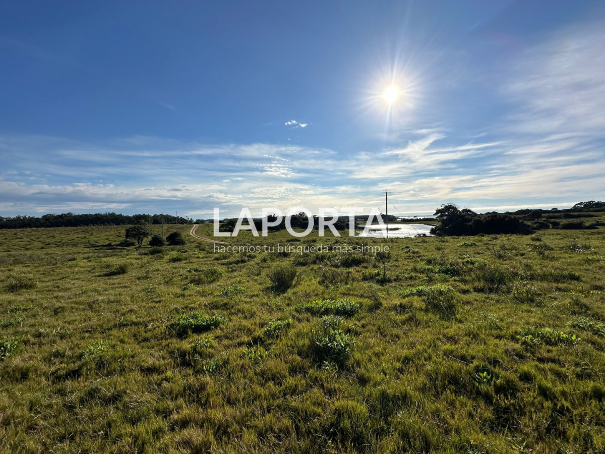 Chacra ID.1652/Chacra-en-venta-en-José-Ignacio-PUnta-del-Este - Chacra en venta en José Ignacio PUnta del Este