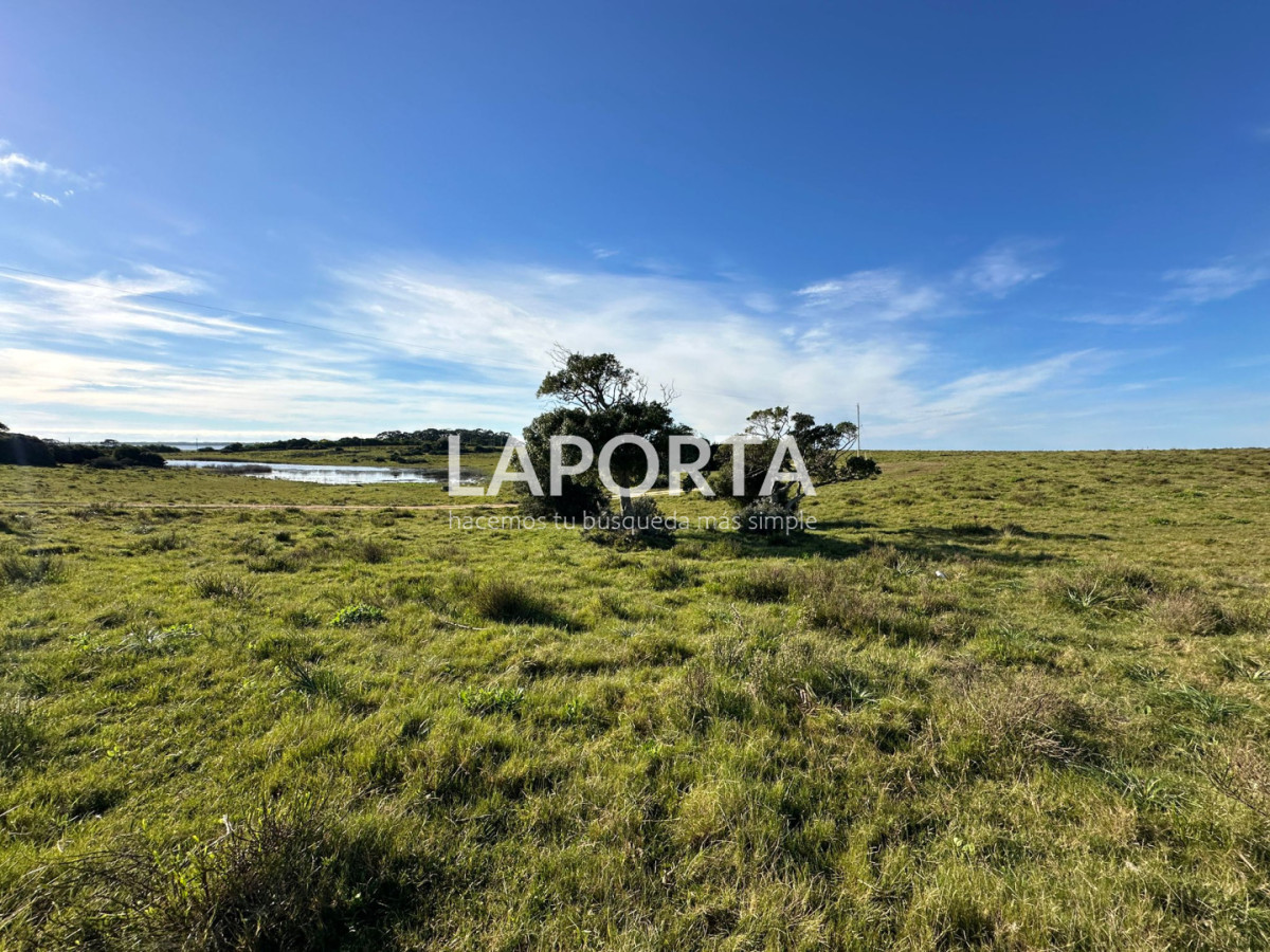 Chacra ID.1652/Chacra-en-venta-en-José-Ignacio-PUnta-del-Este - Chacra en venta en José Ignacio PUnta del Este