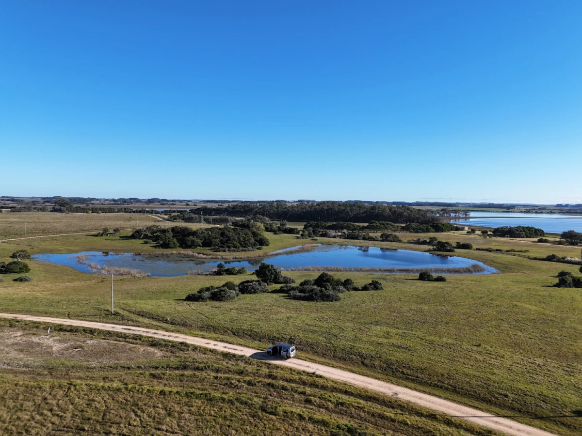 Chacras en José Ignacio — foto 3